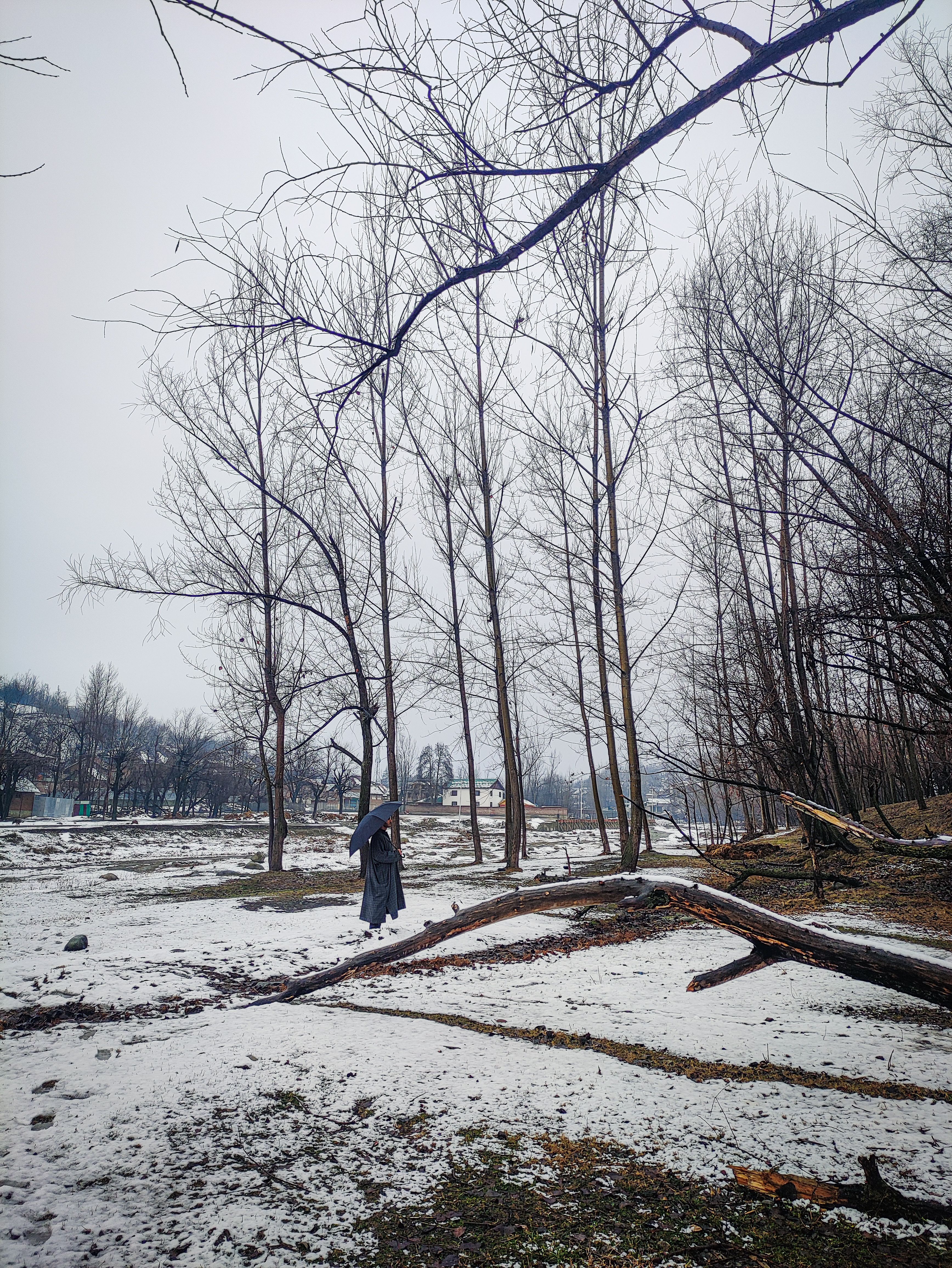 Serene winter scene in Srinagar with a person walking through a snowy field surrounded by trees.