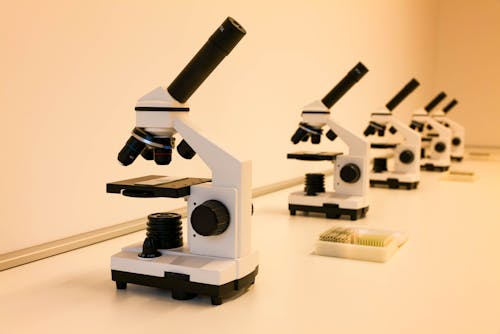 bezplatná Základová fotografie zdarma na téma biologie, chemie, mikroskopy Základová fotografie