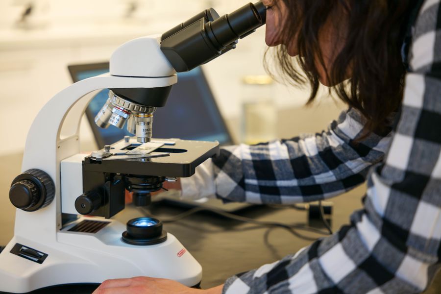 Focused woman examining sample through microscope in lab.