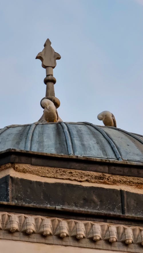 Δωρεάν στοκ φωτογραφιών με camii, türkiye, ανακάλυψη