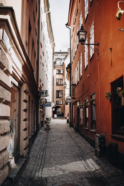 Alley Between Concrete Buildings