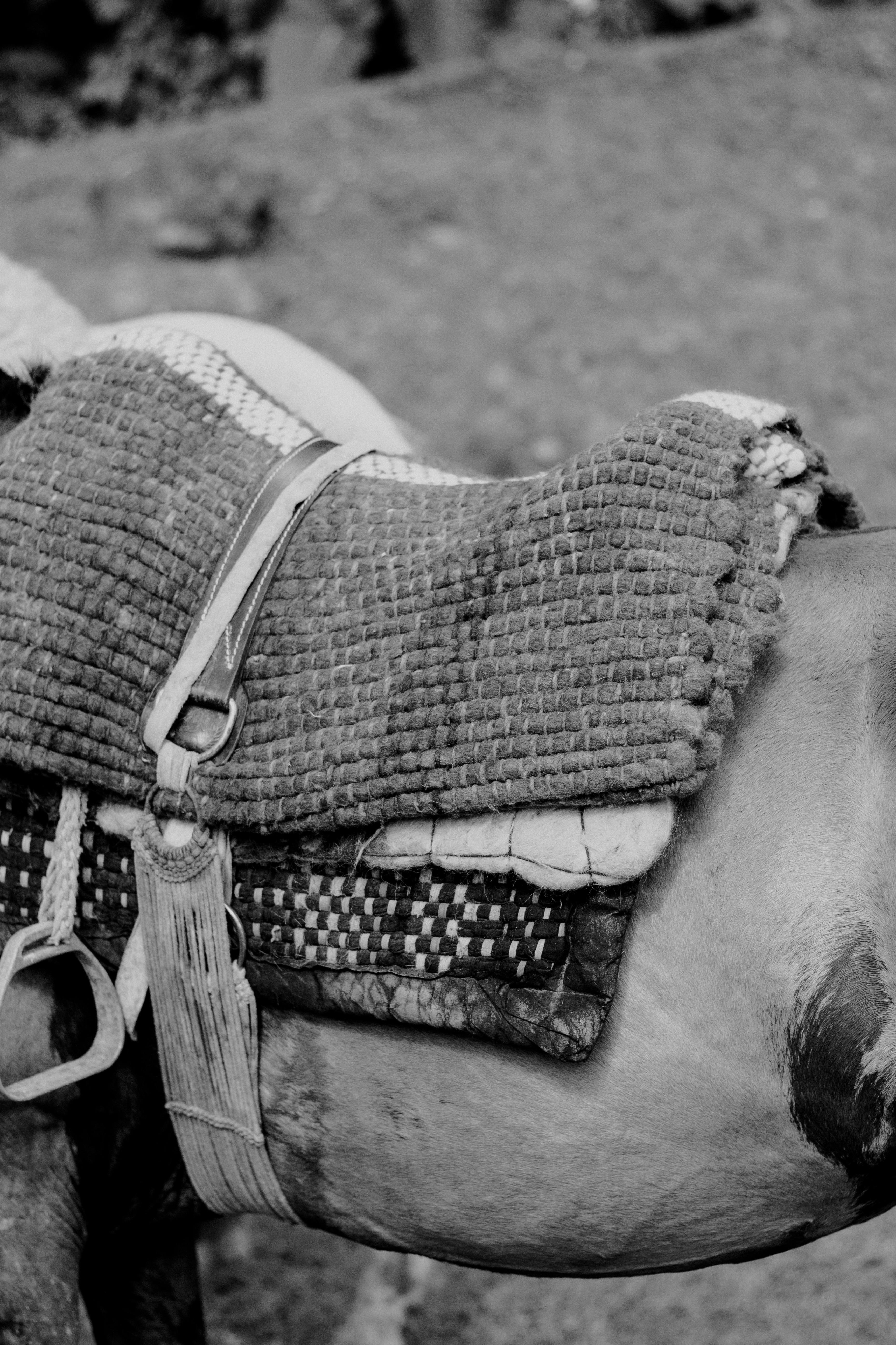 Close-up of a woven saddle on a horse in Brazil, highlighting rustic equestrian elements.