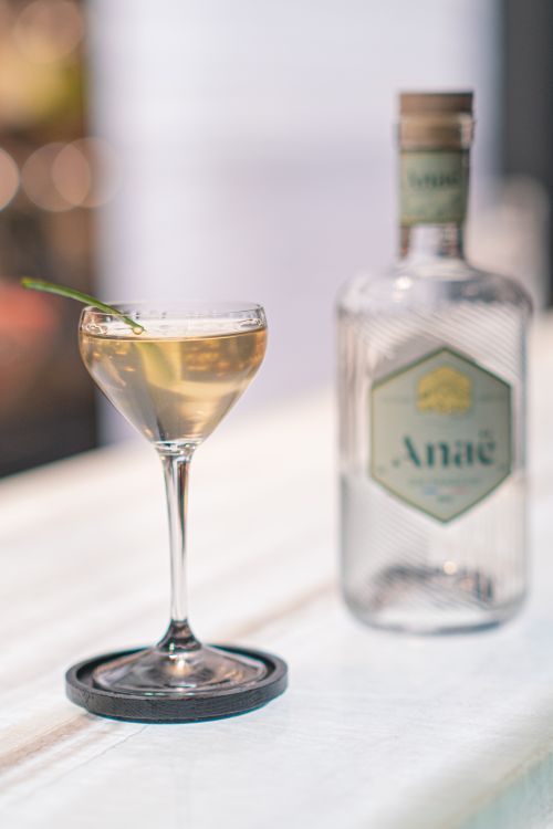 Free A sophisticated cocktail setup featuring Anae gin in a stylish glass with a garnish, perfect for bar or restaurant showcases. Stock Photo