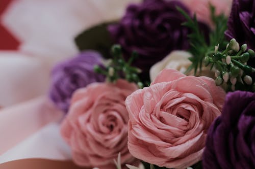 Free Close up of Pink Roses Stock Photo