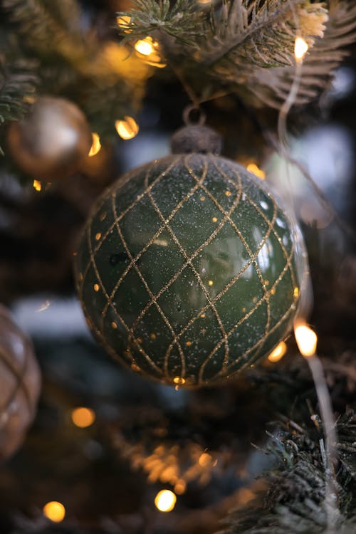 Kostnadsfri bild av dekorationer, julgran, lampor