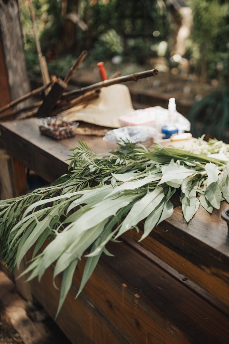 Leaves On Wooden Dresser