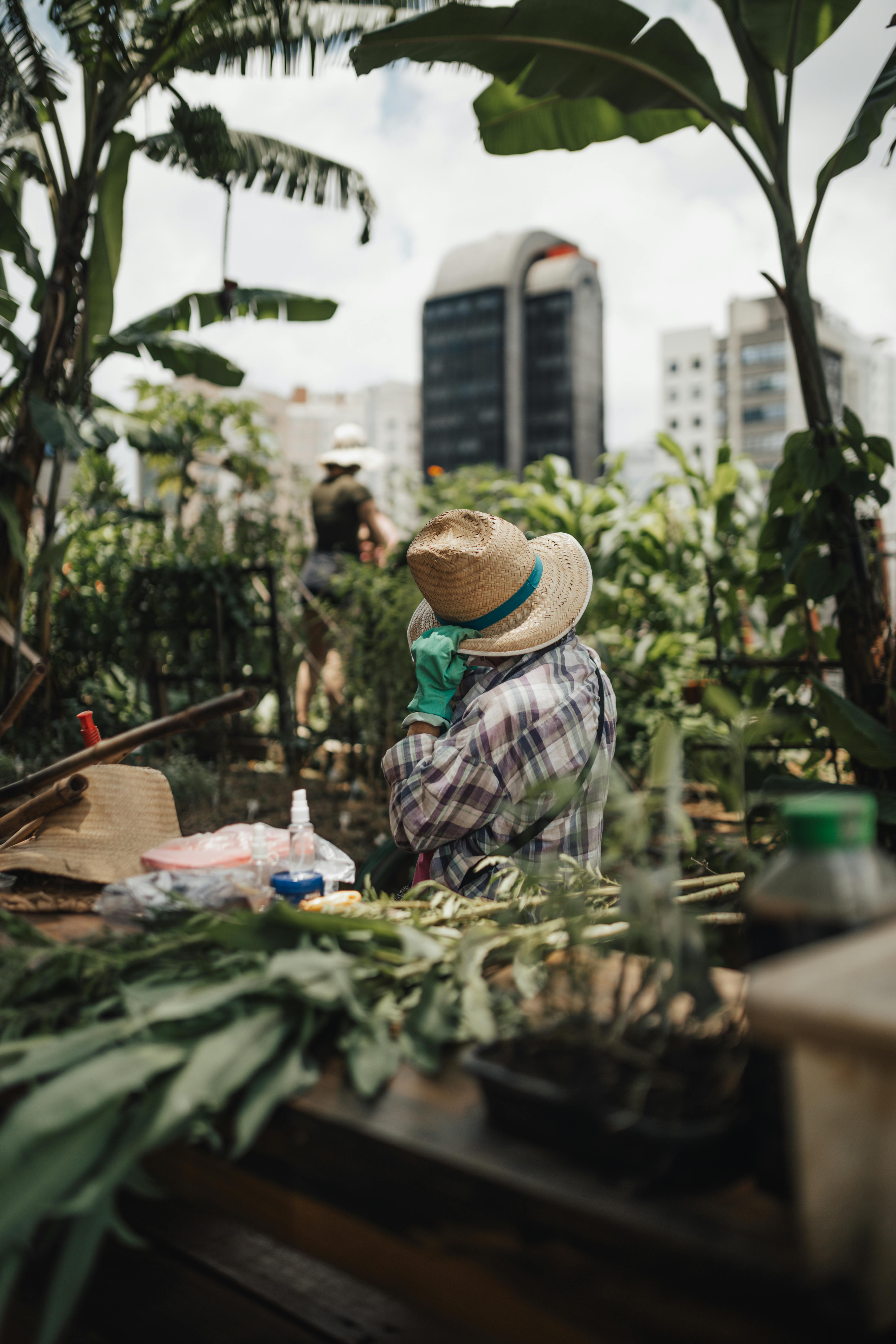 A person gardening in an urban setting with tall buildings in the background.