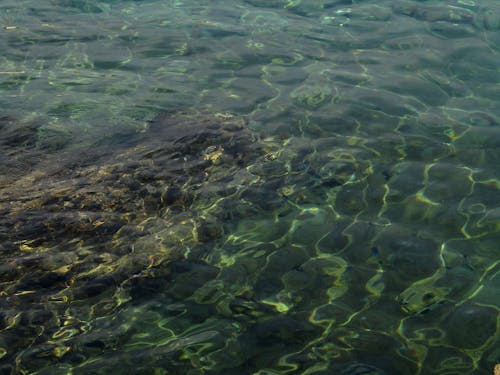 Foto d'estoc gratuïta de aigua poc profunda, mar, mar adriàtic