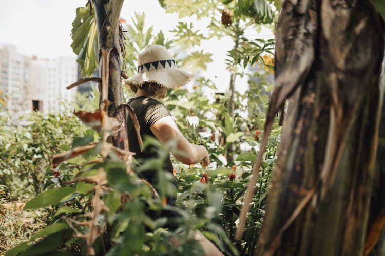 Photo Of A Woman Working In A Garden 