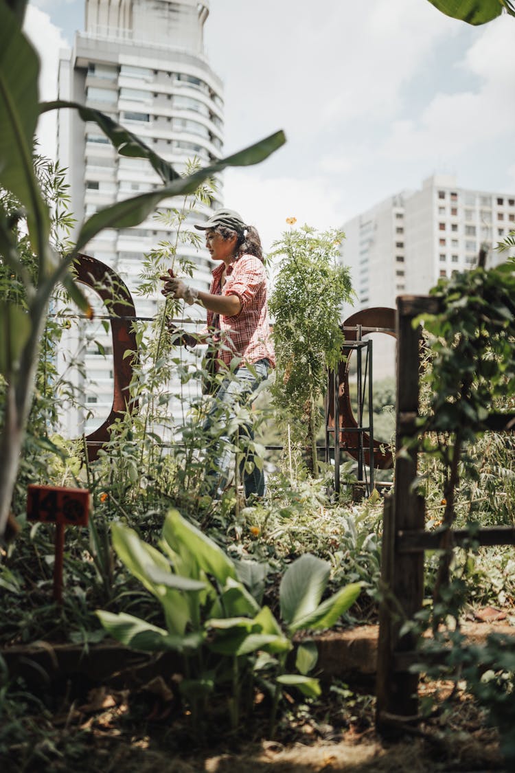 Photo Of A Woman Working In A Garden 