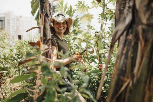 Free Smiling woman with a hat tending plants in an urban garden, surrounded by greenery on a bright summer day. Stock Photo