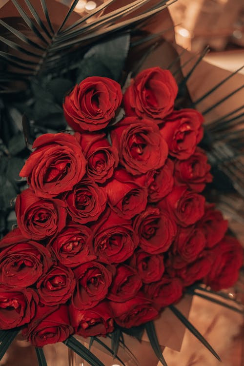 Close up of Red Roses Bouquet