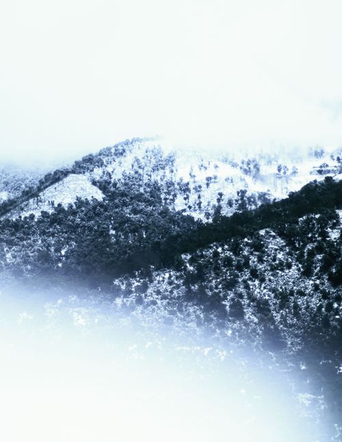 Free stock photo of cold, fog, freeze Stock Photo