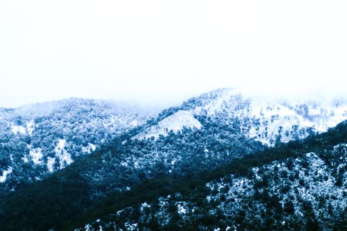 Free stock photo of cold, fog, freeze Stock Photo