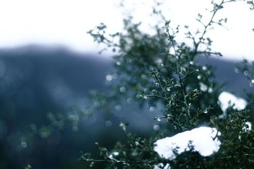 Free stock photo of cold, fog, freez Stock Photo