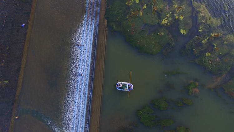 Pontoon On Swamp Water