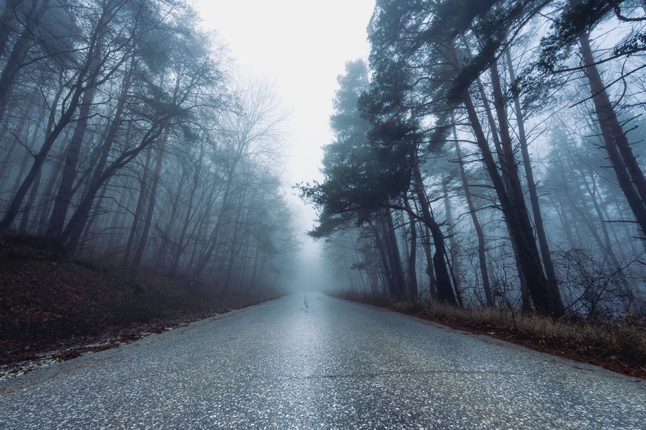 A mysterious road through a foggy winter forest with dense mist.