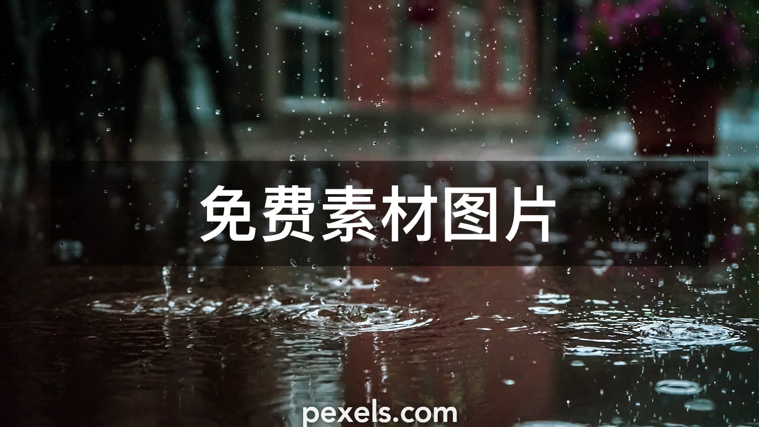 10 000 最精彩的雨图片 100 免费下载 Pexels 素材图片