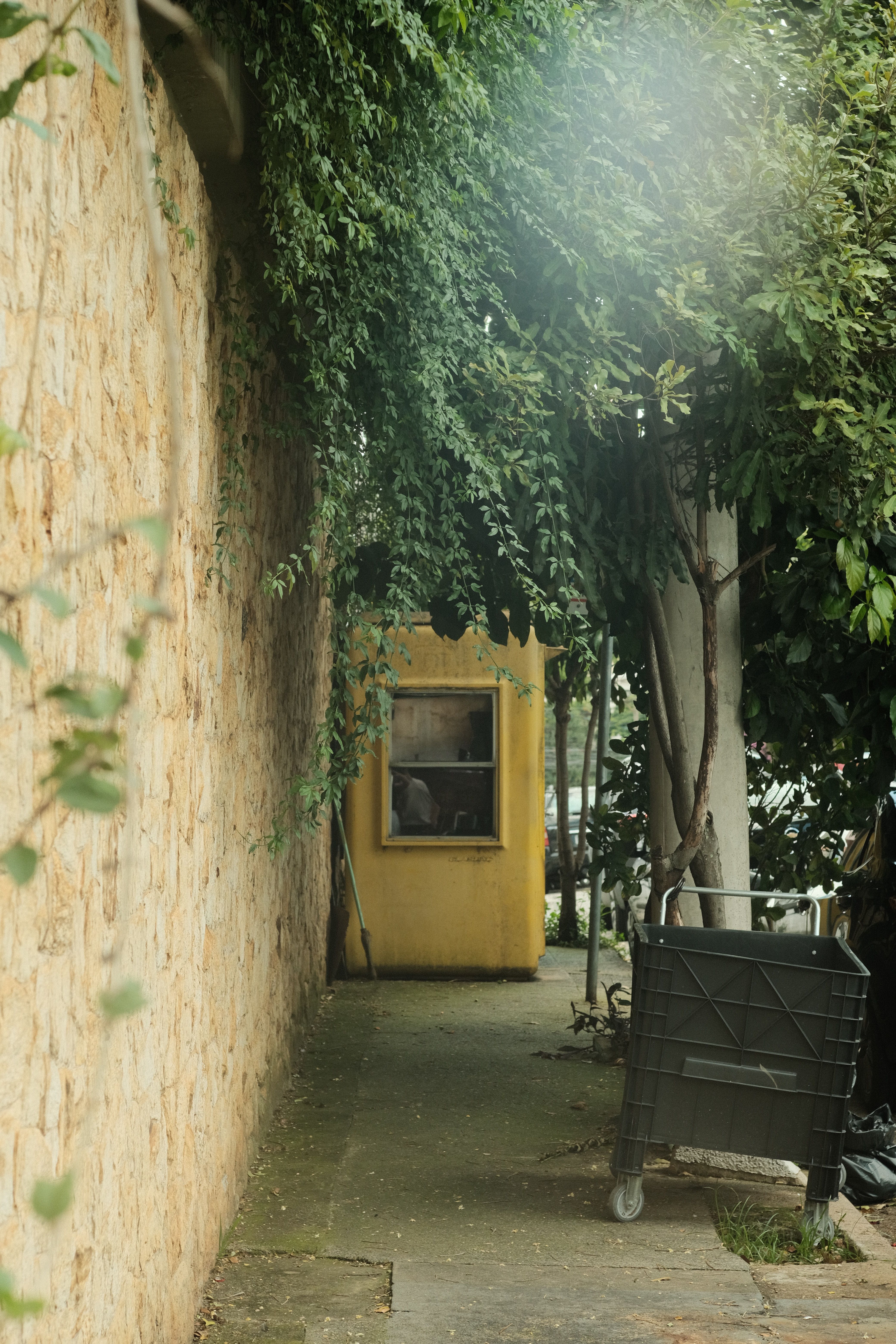 Charming urban alley with a yellow house, lush foliage, and a vintage feel.