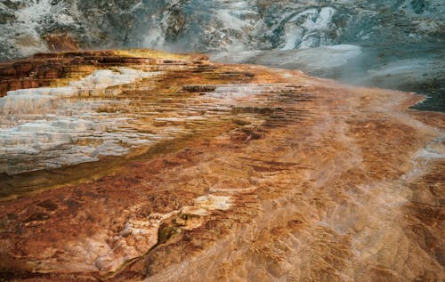 Brown Ground Landscape