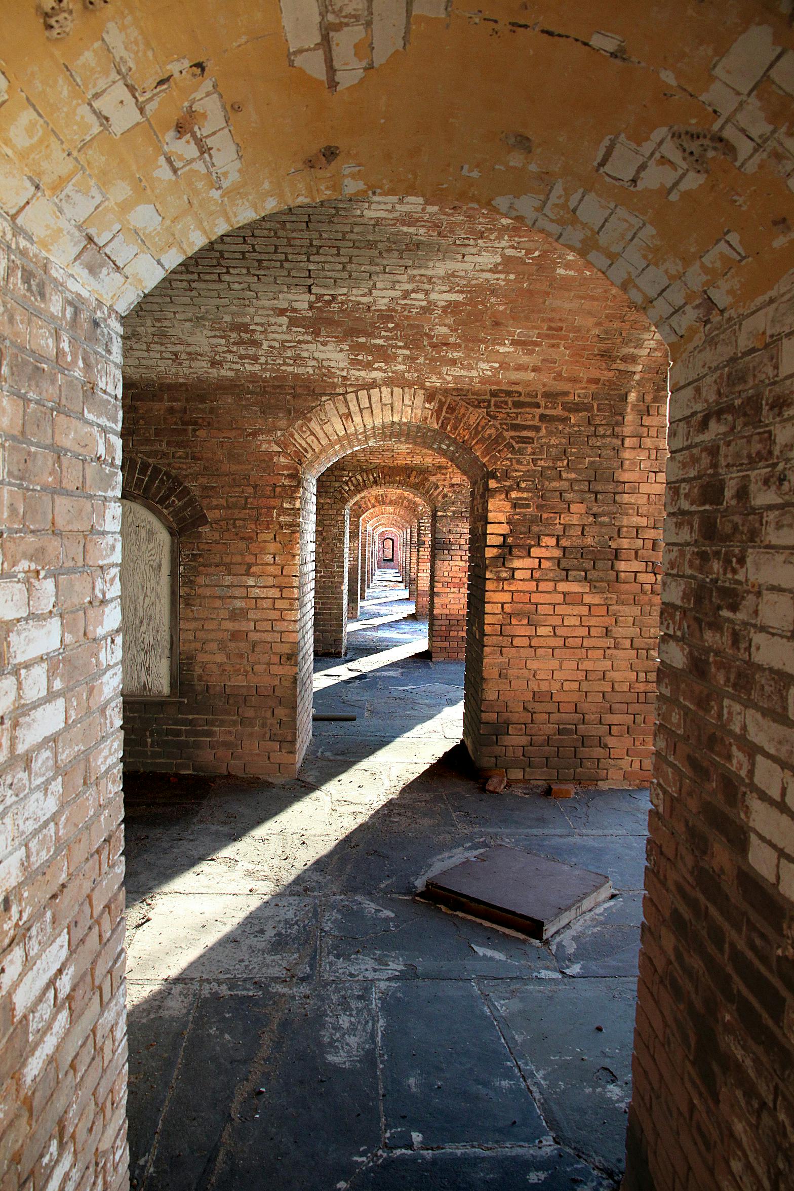 The Cradle of Humankind