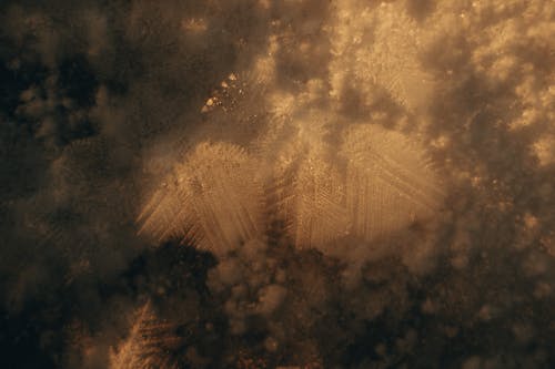 Kostnadsfri bild av abstrakt, dimma, gryning