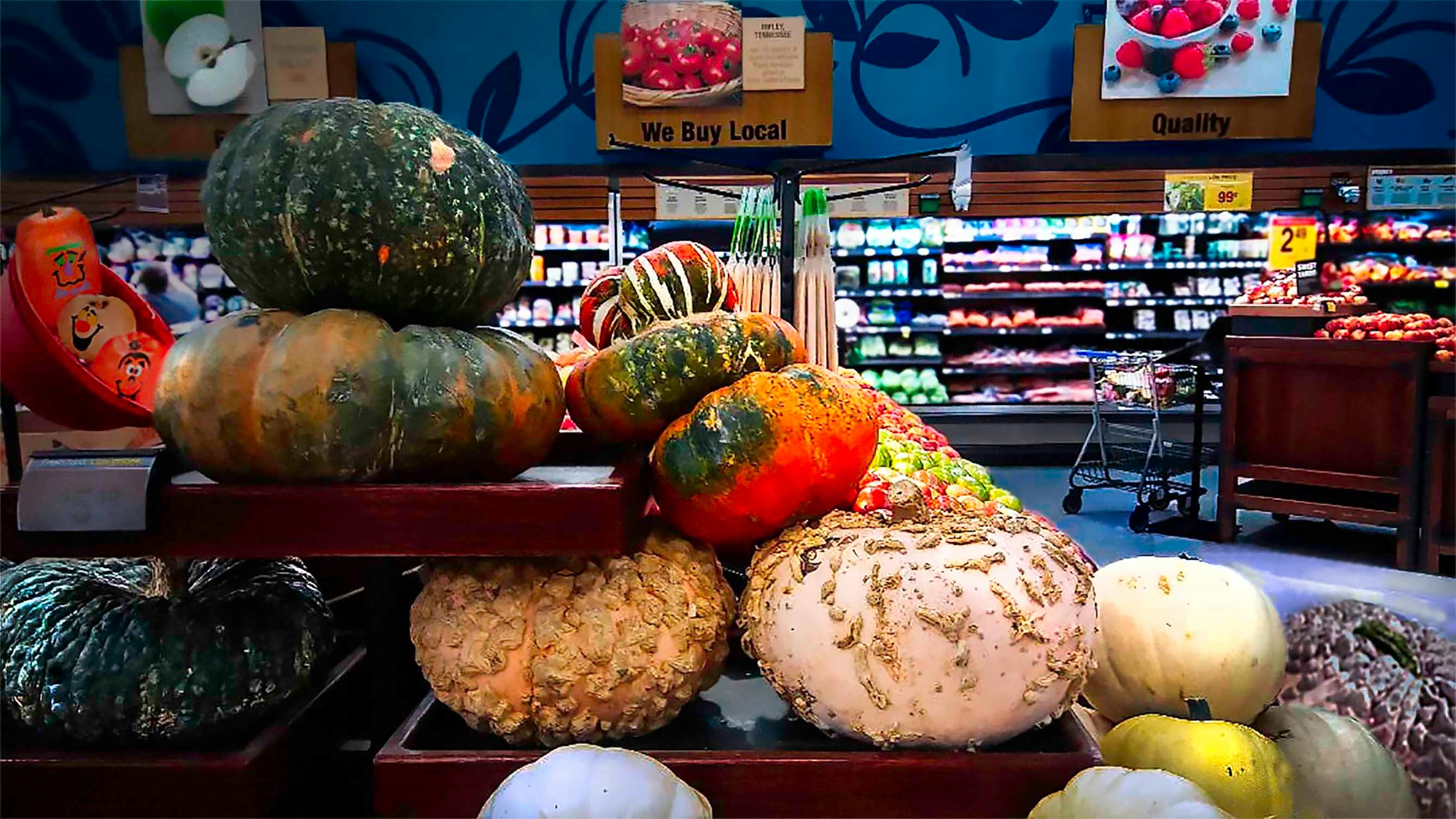 欢迎来到我的网站