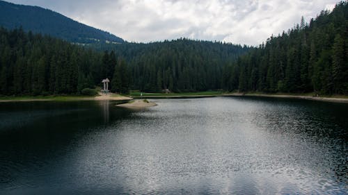 Foto stok gratis conifera, danau, hijau abadi