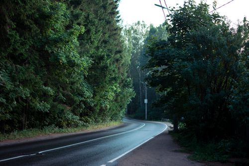 Free A winding road curving through a lush green forest during summer, ideal for nature themes. Stock Photo