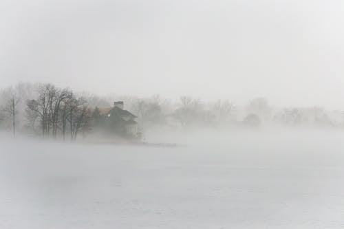 Foggy Snow Covered Landscape