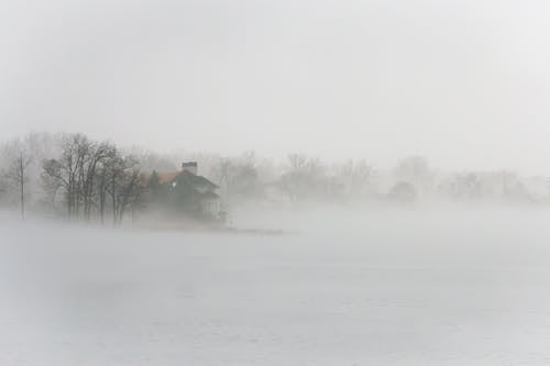 Kostnadsfri bild av dimma, dimmig, frysning