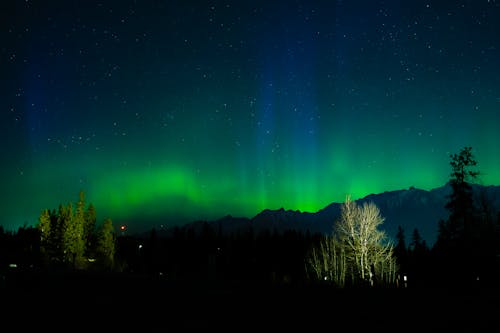 Imagine de stoc gratuită din astronomie, aurora boreală, cer