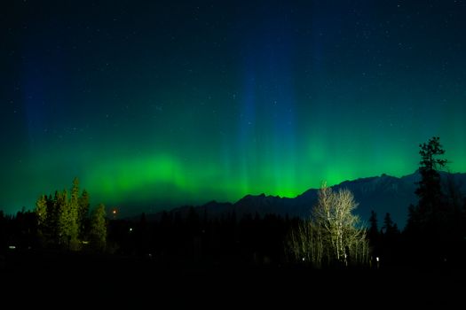 Capture of the mesmerizing aurora borealis illuminating the night sky over a mountain range and forest.
