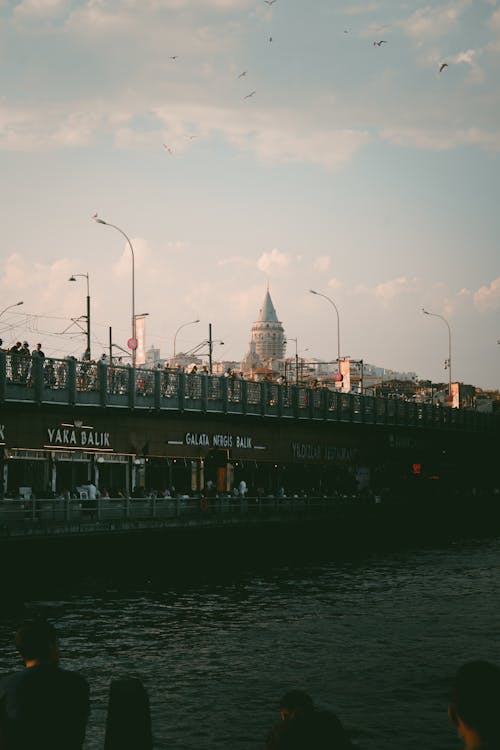 Photo of the Bridge in a City 