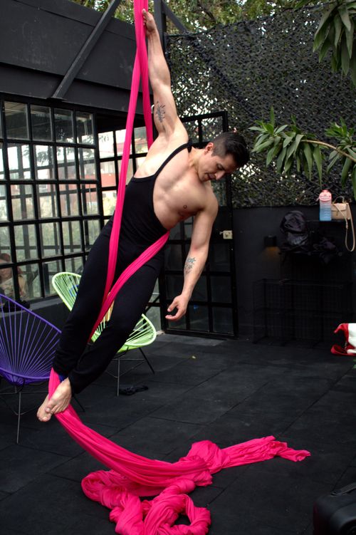 Free Male aerial performer gracefully suspended on vibrant pink silk ribbons indoors. Stock Photo