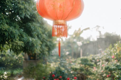 Gratis arkivbilde med dekorasjon, hengende, kinesisk lantern Arkivbilde