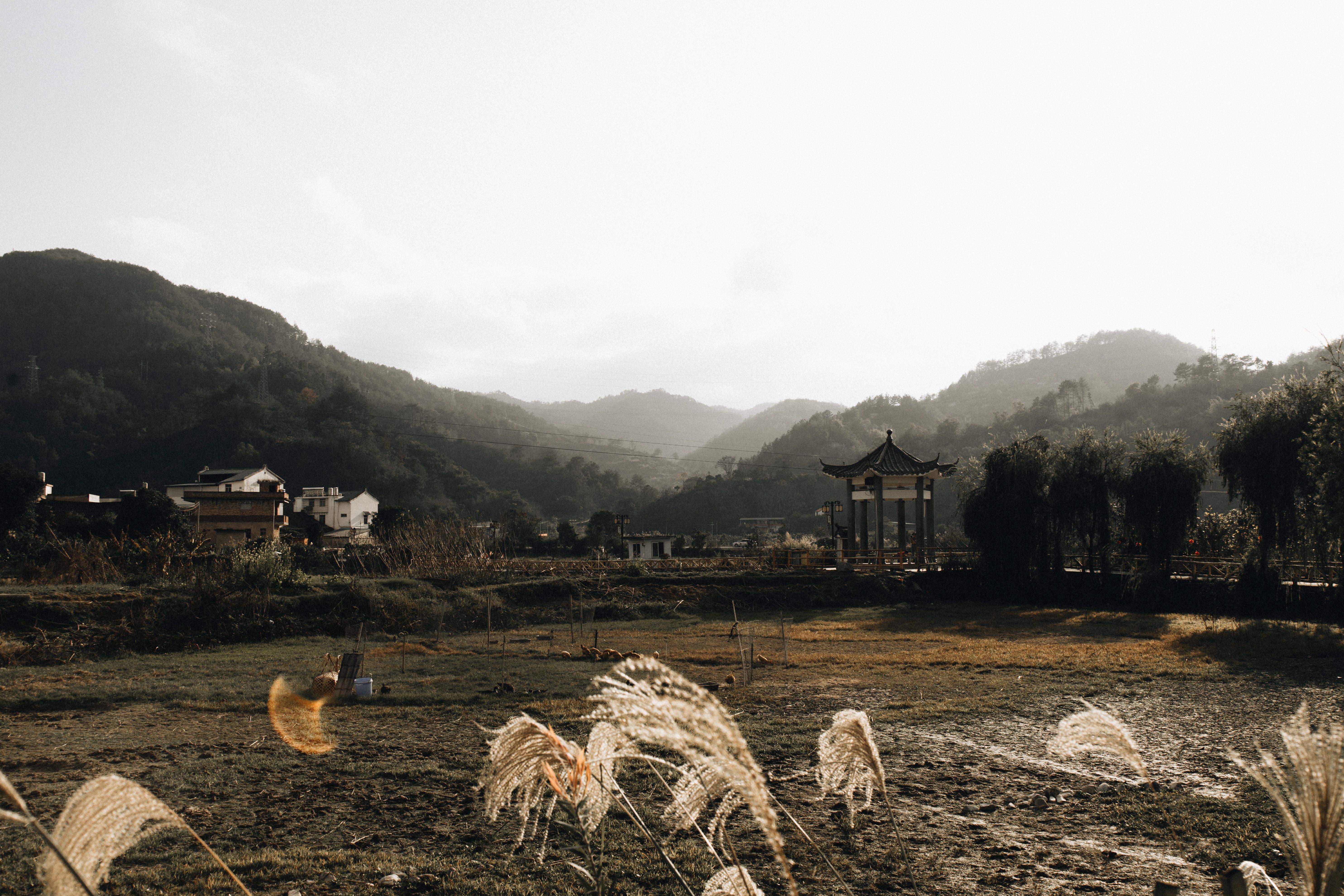 A peaceful rural scene with a picturesque village set against lush, rolling hills and traditional architecture.