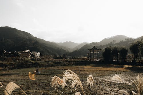 Foto profissional grátis de aldeia, aldeias, árvores