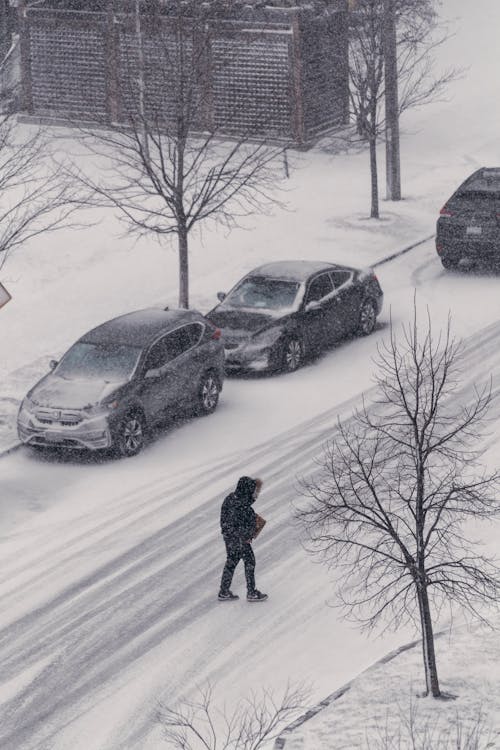 Бесплатное стоковое фото с автомобили, вертикальный выстрел, городской пейзаж