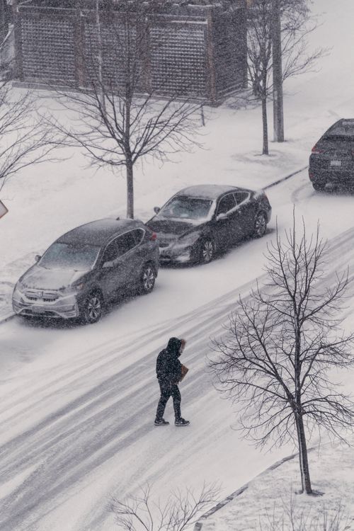 Free A person crosses a snowy city street with parked cars and trees during a winter storm. Stock Photo