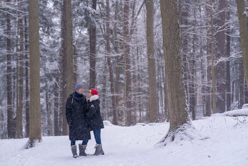 Безкоштовне стокове фото на тему «азіатська пара, дерева, замерзання»