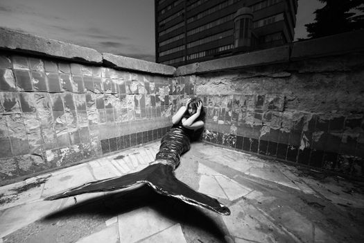Free stock photo of fairy tale, pushkin, surrealism