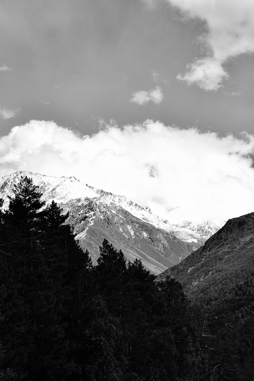 Free Dramatic black and white photo of snow-capped mountains with clouds and trees in the foreground. Stock Photo
