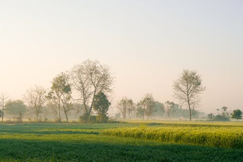 Základová fotografie zdarma na téma krajina, mlha, padání