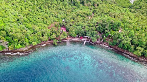 Aerial Photography of Coastline