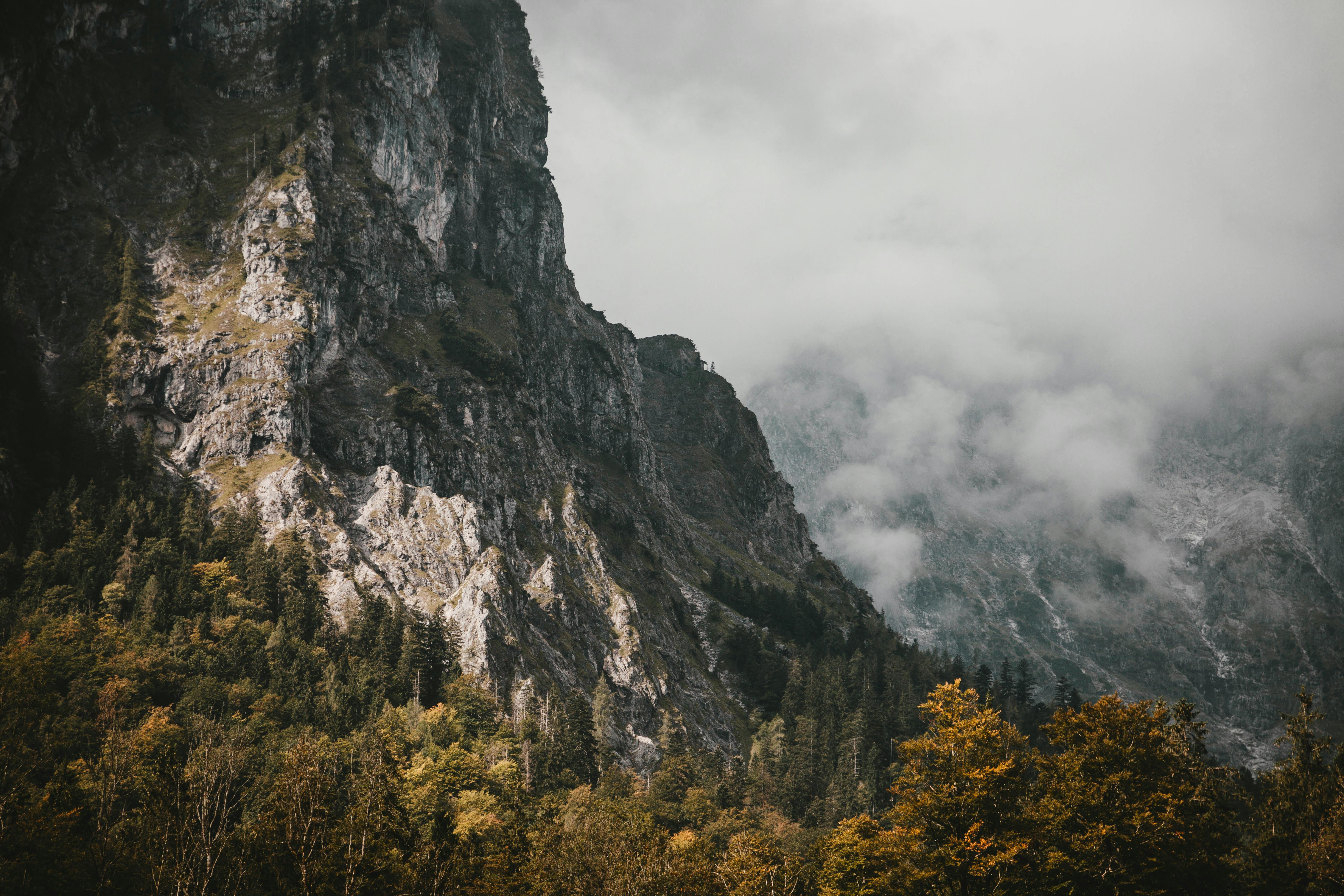 Mountain and Trees · Free Stock Photo