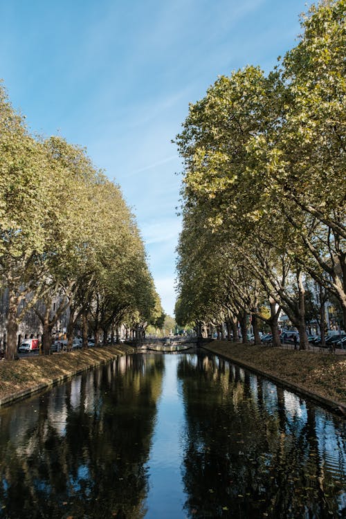 Kostenloses Stock Foto zu bäume, blauer himmel, fluss