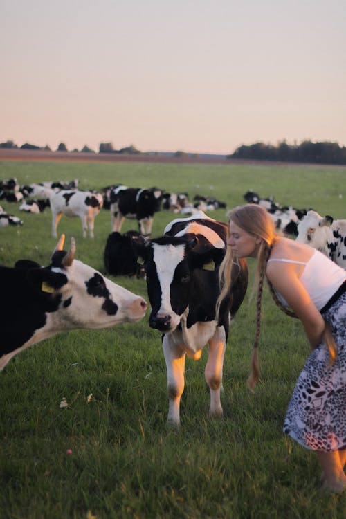 Blonde Woman among Cattle