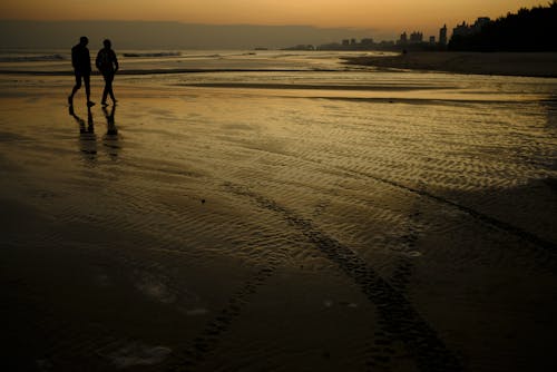 Free stock photo of beaches, couplesgoals, fall sun