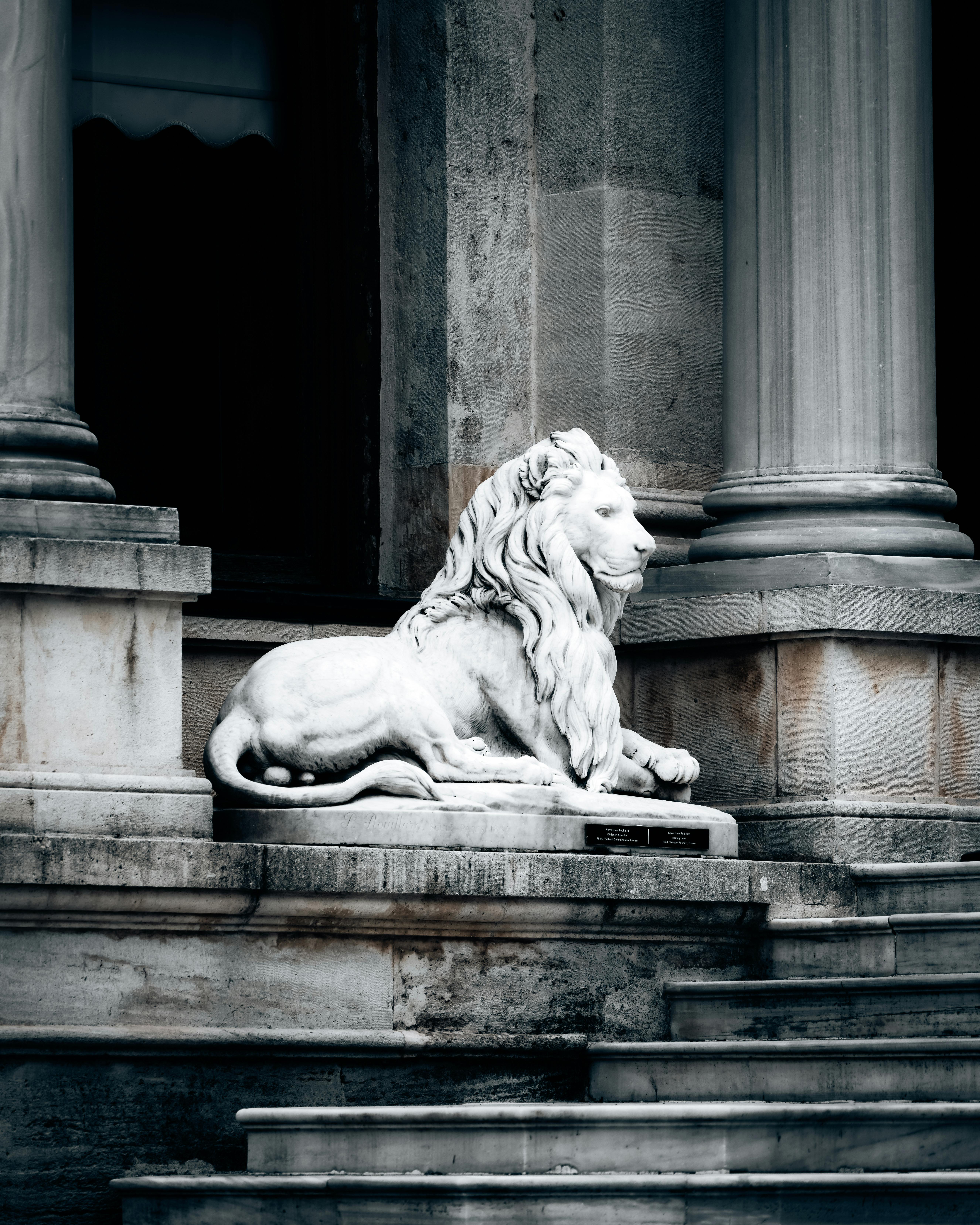 Statue of a Lion · Free Stock Photo